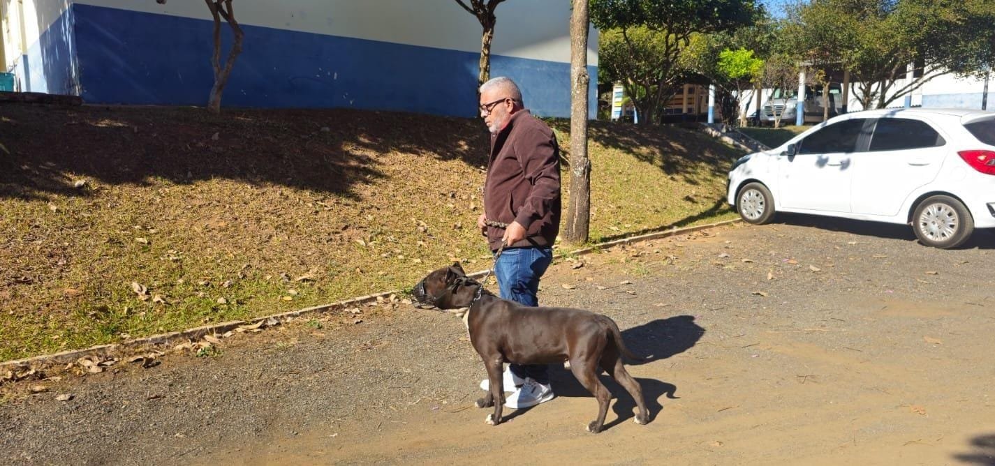 saiba-como-passear-com-caes-grandes-em-vias-publicas,-com-seguranca