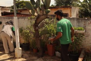 hortolandia-faz-eliminacao-de-aedes-aegypti-no-jd-monte-sinai,-jd.-santana-e-remanso-campineiro
