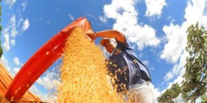 balanca-comercial-tem-menor-superavit-para-julho-em-tres-anos